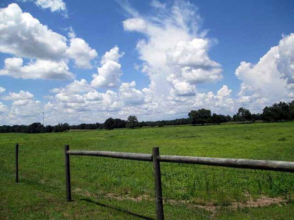 Saddle Creek Commons: 2300 US Highway 17 N, Bartow, FL 33830